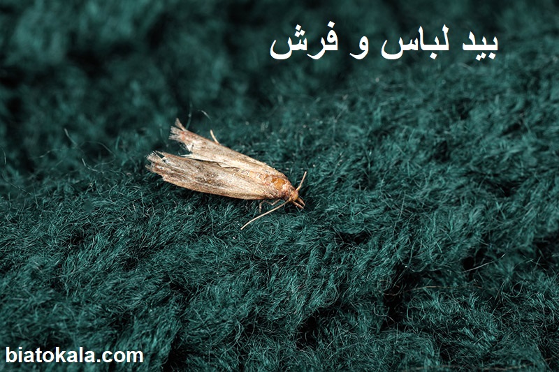 بید فرش و لباس